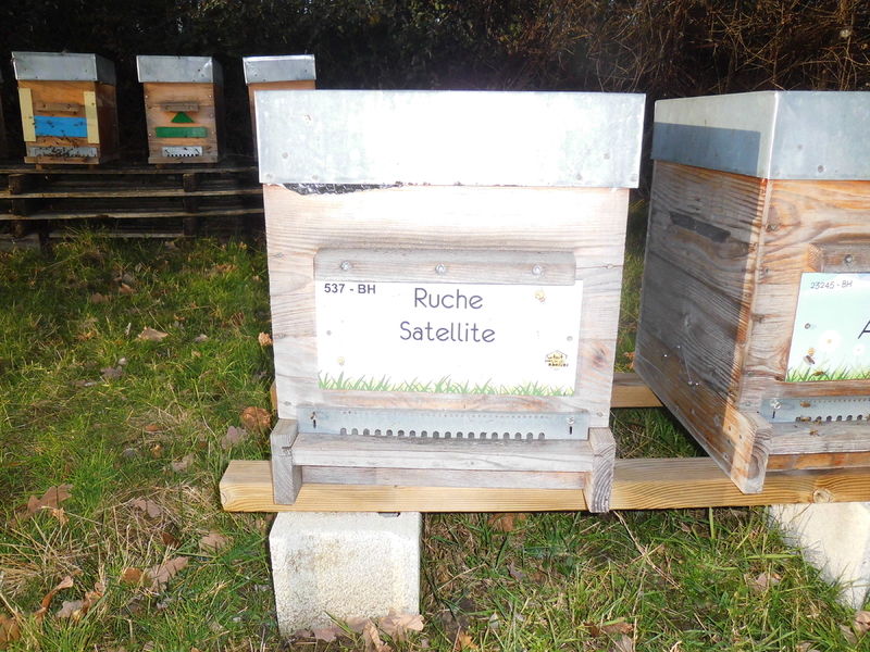 La ruche Satellite