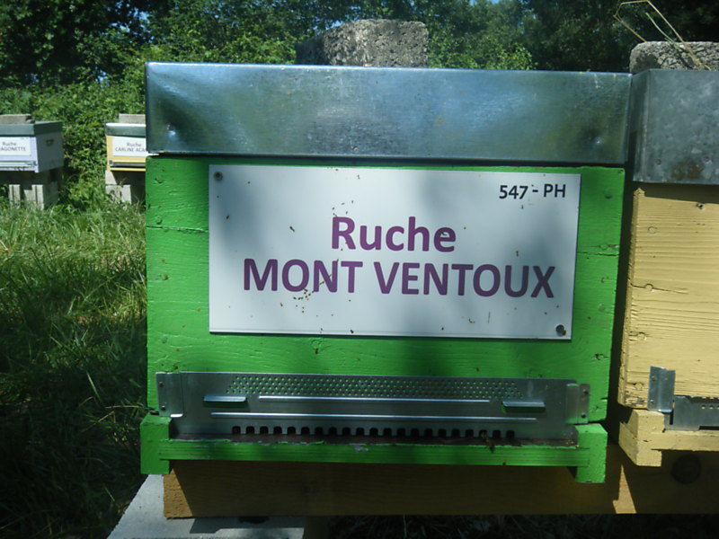 La ruche