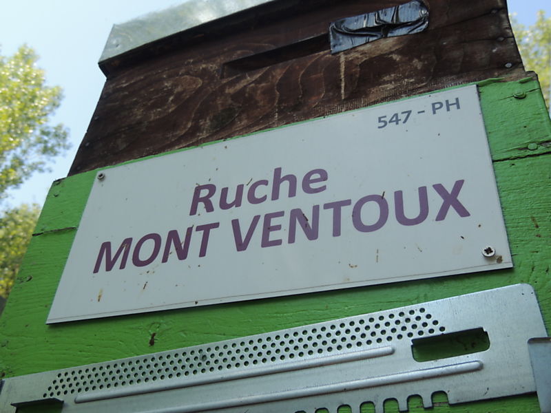 La ruche Mont ventoux