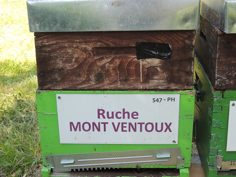 La ruche Mont ventoux