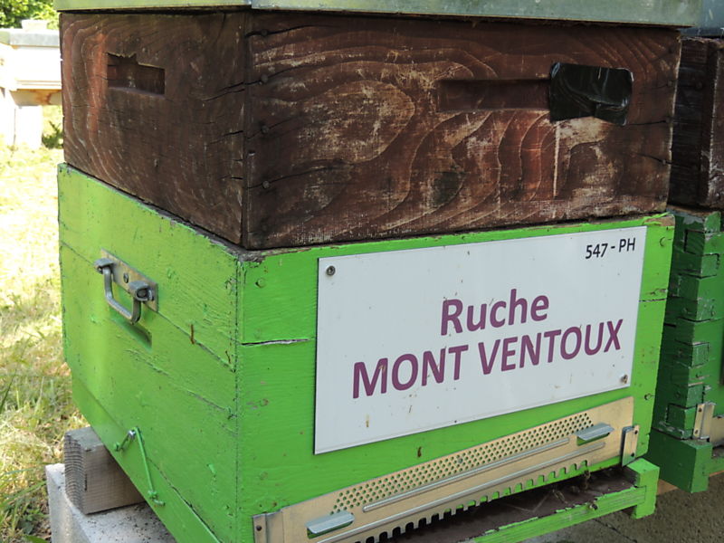 La ruche Mont ventoux
