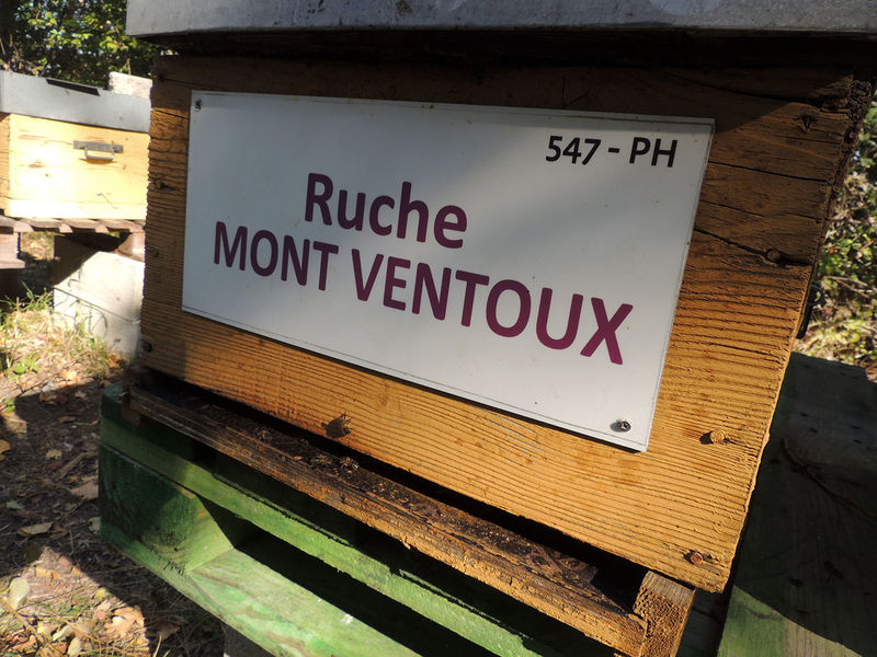 La ruche Mont ventoux
