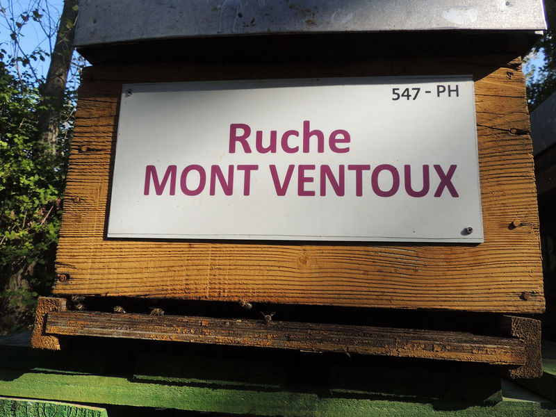 La ruche Mont ventoux