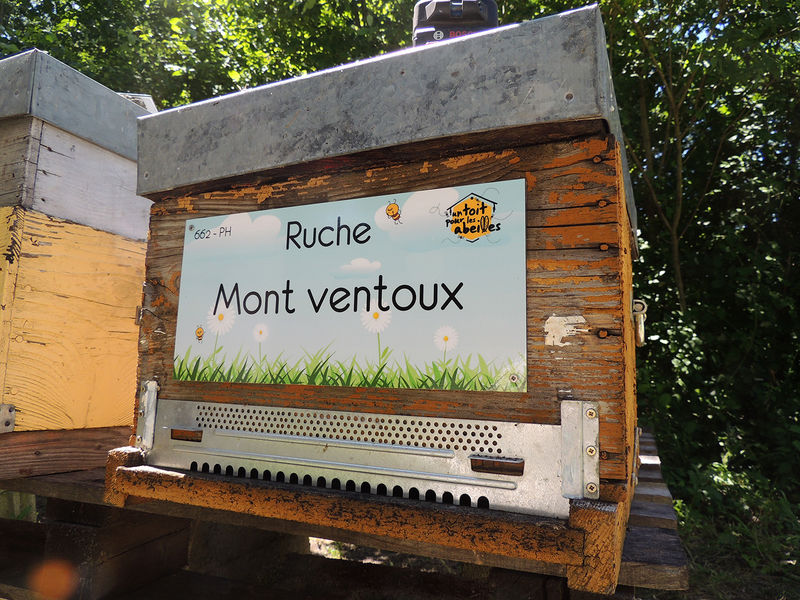 La ruche Mont ventoux