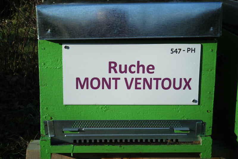 La ruche Mont ventoux