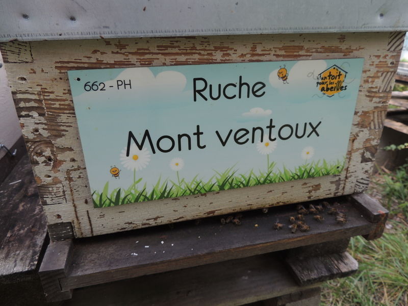 La ruche Mont ventoux