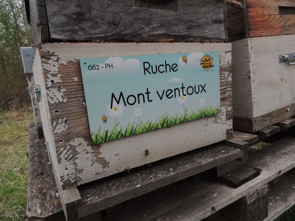 La ruche Mont ventoux
