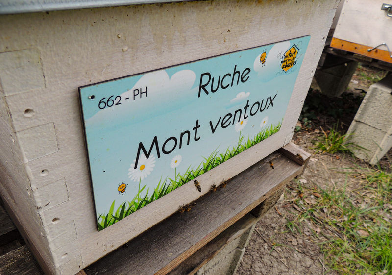 La ruche Mont ventoux