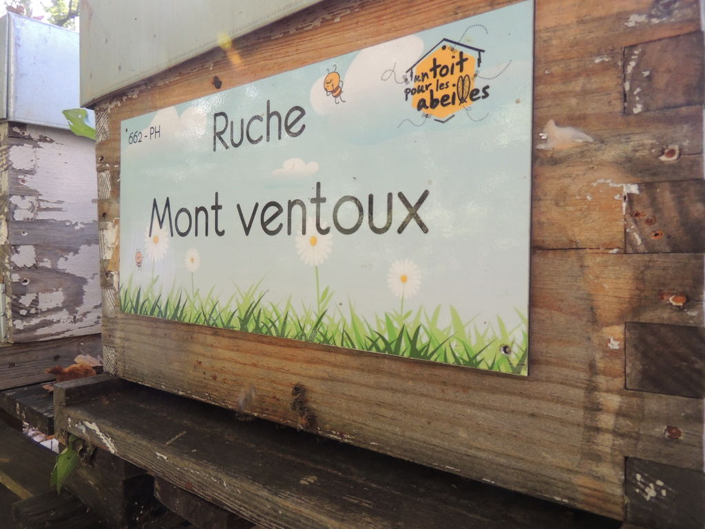 La ruche Mont ventoux