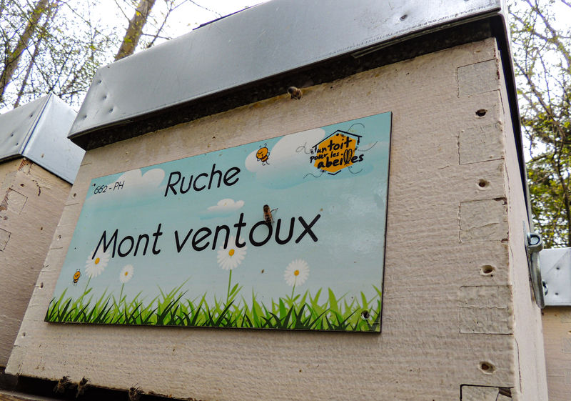 La ruche Mont ventoux
