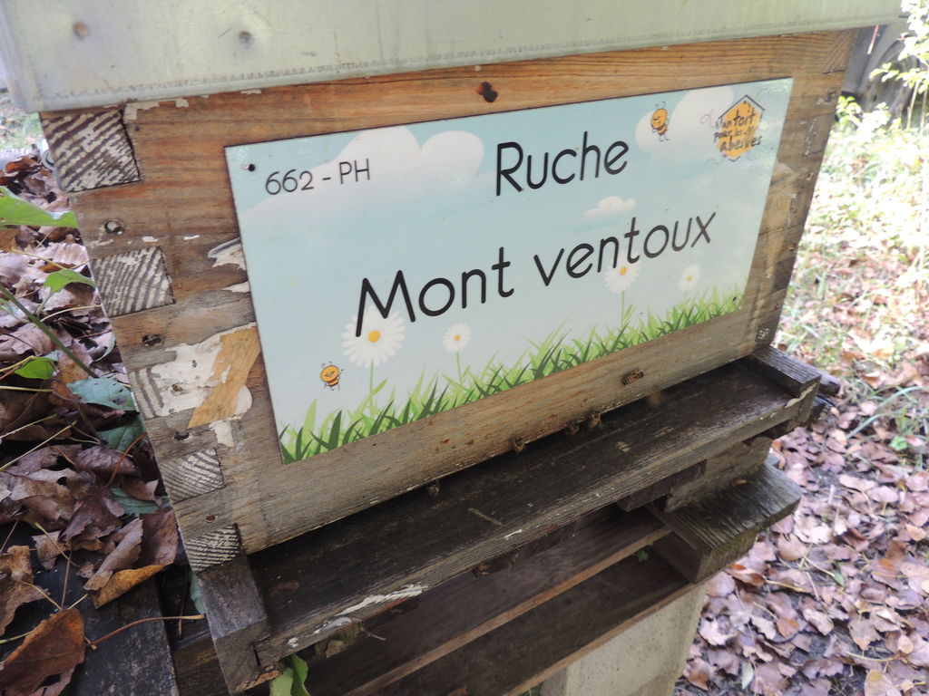 La ruche Mont ventoux