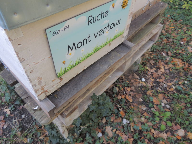 La ruche