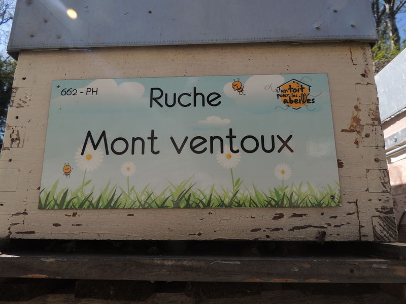 La ruche Mont ventoux