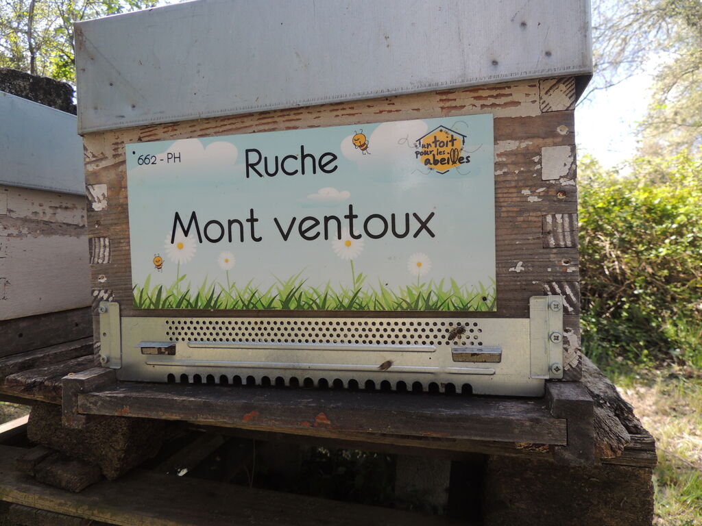 La ruche Mont ventoux