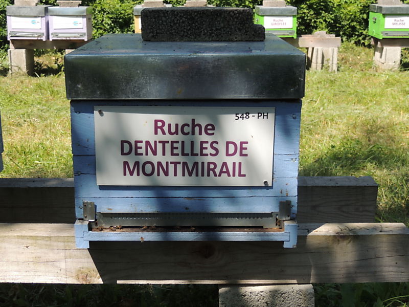 La ruche Dentelles de montmirail
