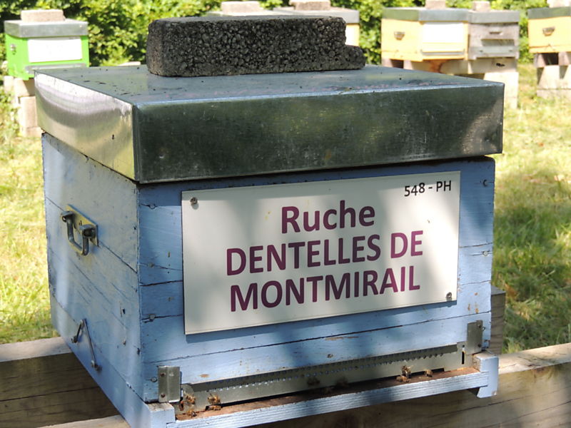 La ruche Dentelles de montmirail