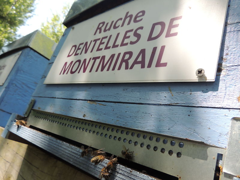 La ruche Dentelles de montmirail