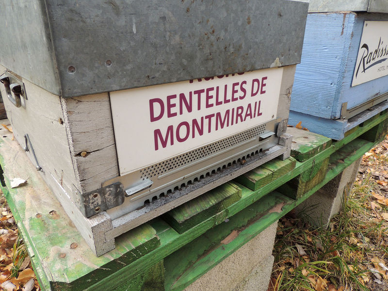 La ruche Dentelles de montmirail
