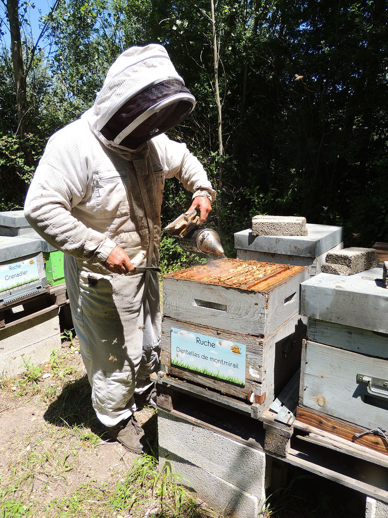 La ruche Dentelles de montmirail