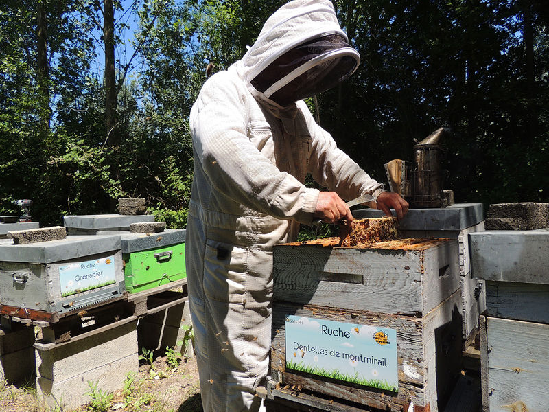 La ruche Dentelles de montmirail