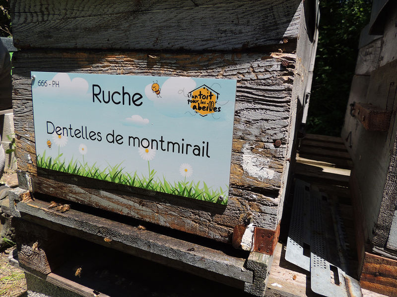 La ruche Dentelles de montmirail