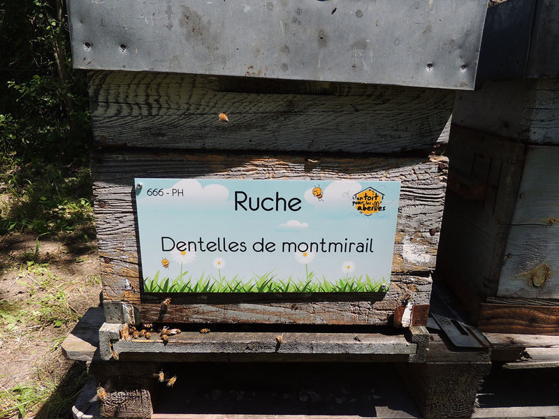 La ruche Dentelles de montmirail
