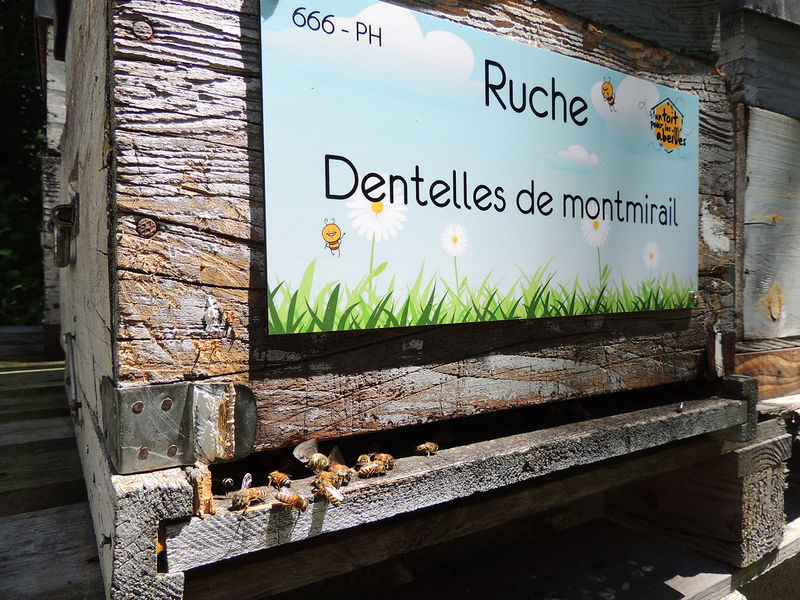 La ruche Dentelles de montmirail