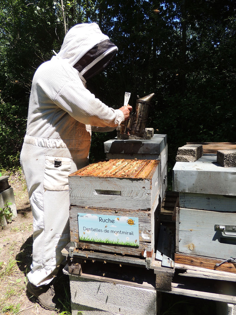 La ruche Dentelles de montmirail