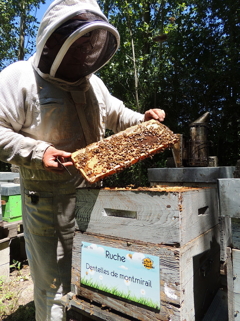 La ruche Dentelles de montmirail