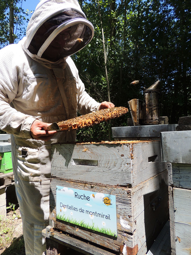 La ruche Dentelles de montmirail