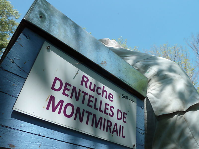 La ruche Dentelles de montmirail