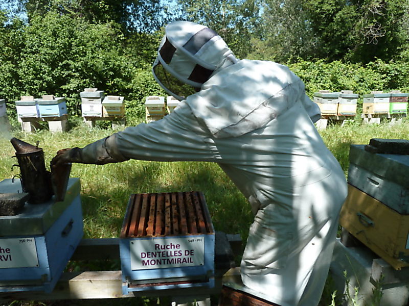 La ruche Dentelles de montmirail
