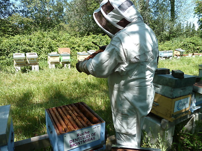 La ruche Dentelles de montmirail
