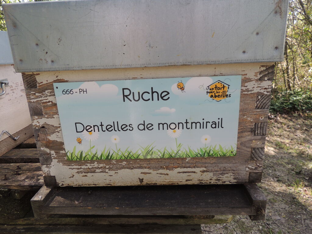 La ruche Dentelles de montmirail