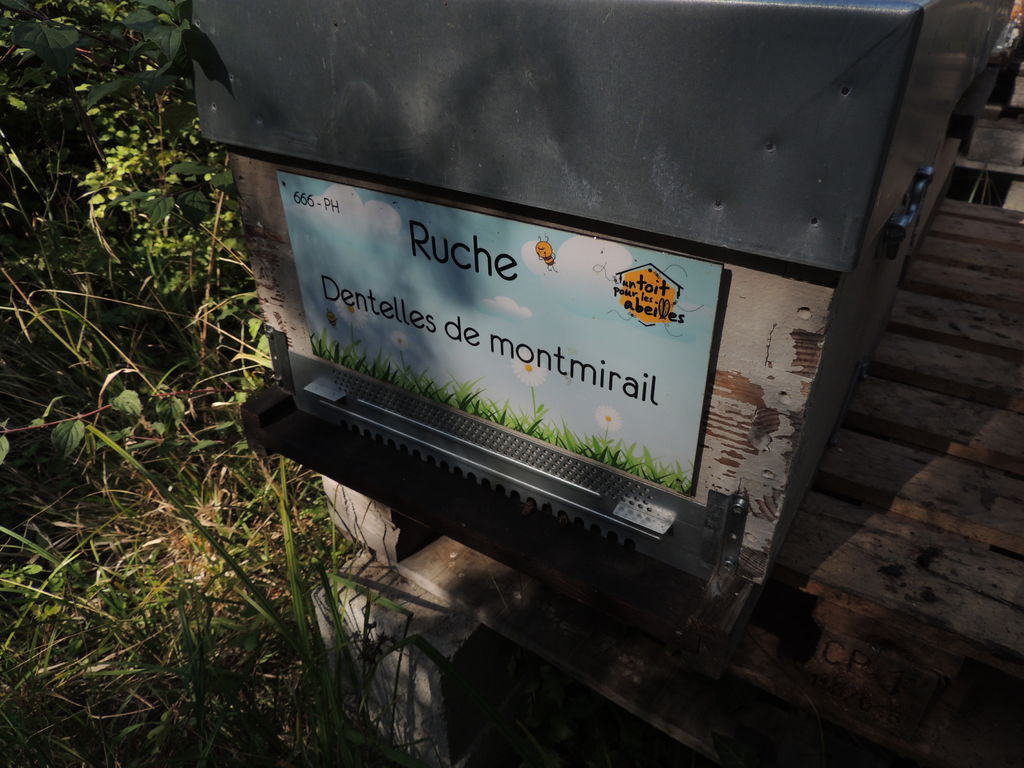 La ruche Dentelles de montmirail