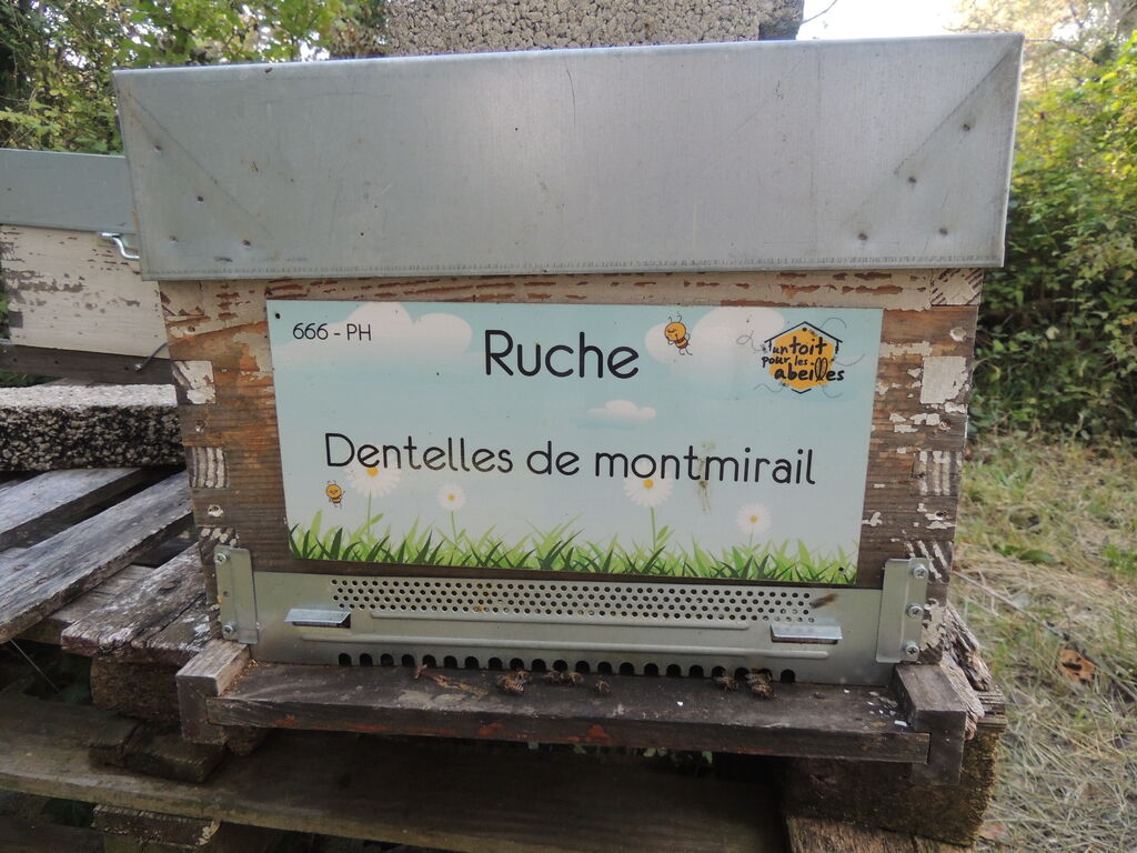 La ruche Dentelles de montmirail