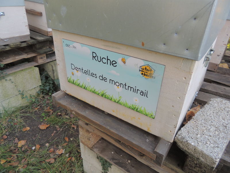 La ruche Dentelles de montmirail