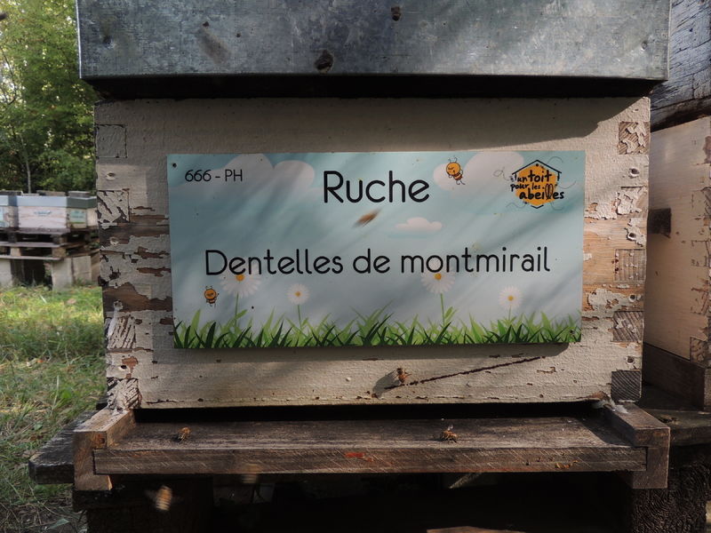 La ruche Dentelles de montmirail