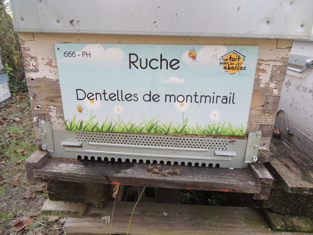 La ruche Dentelles de montmirail