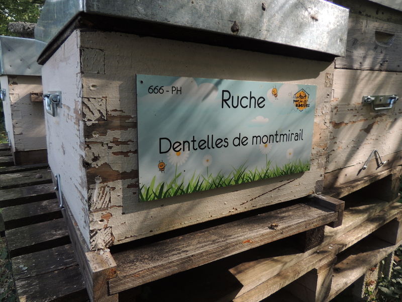 La ruche Dentelles de montmirail