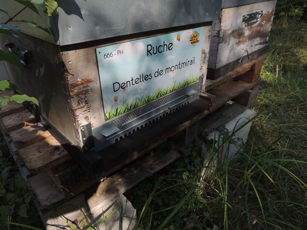 La ruche Dentelles de montmirail
