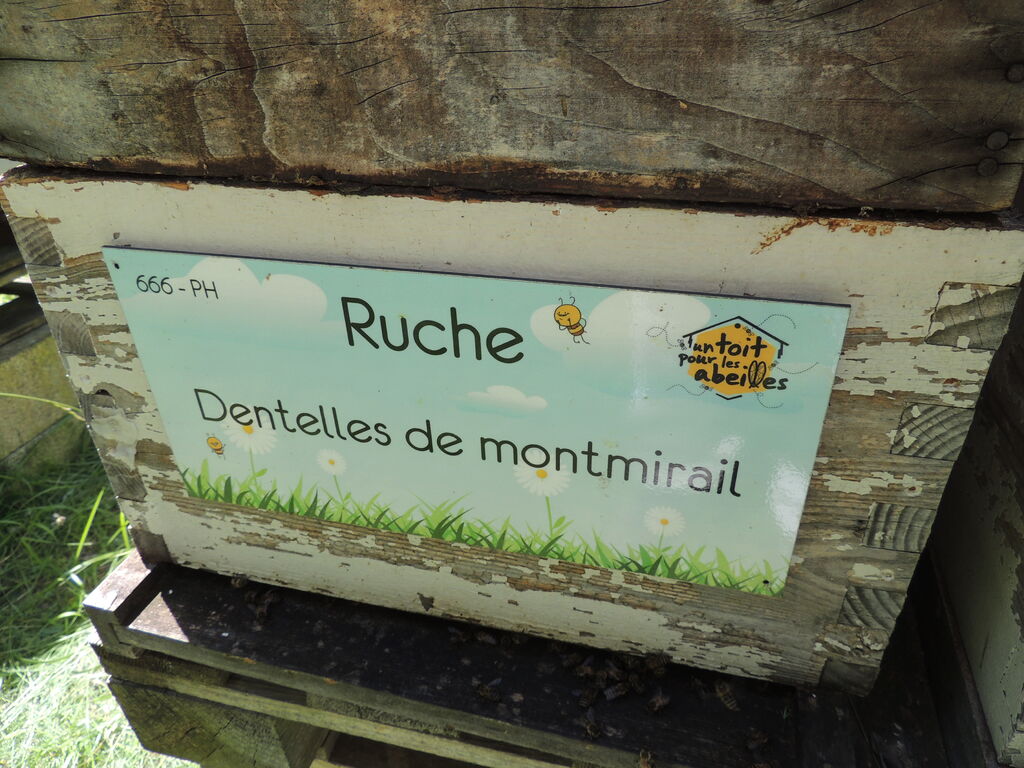 La ruche Dentelles de montmirail