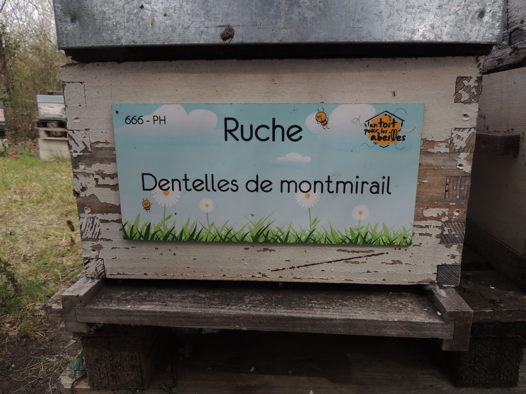 La ruche Dentelles de montmirail