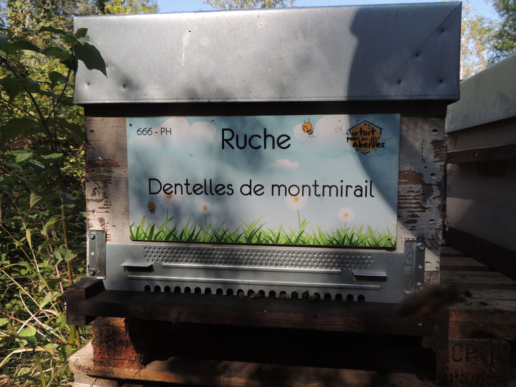 La ruche Dentelles de montmirail
