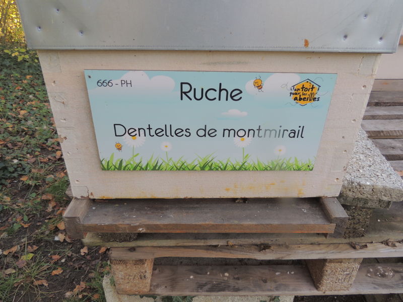 La ruche Dentelles de montmirail