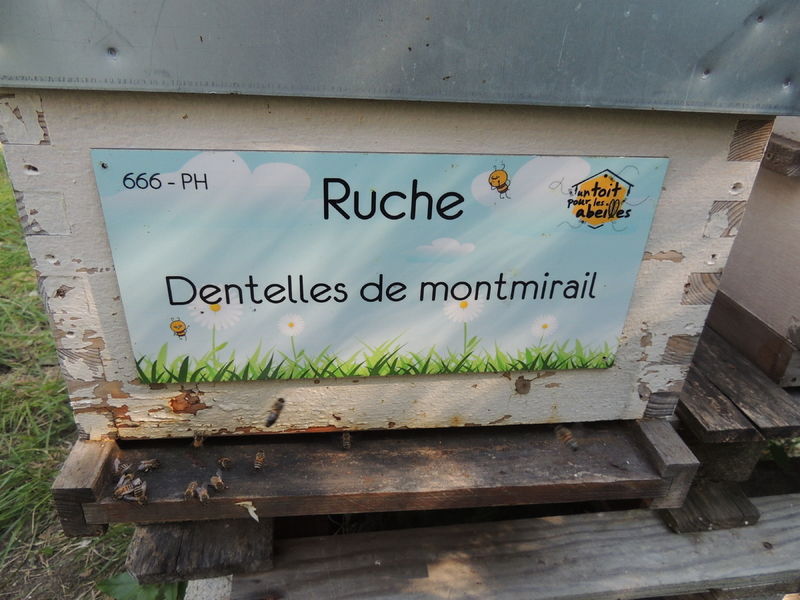 La ruche Dentelles de montmirail