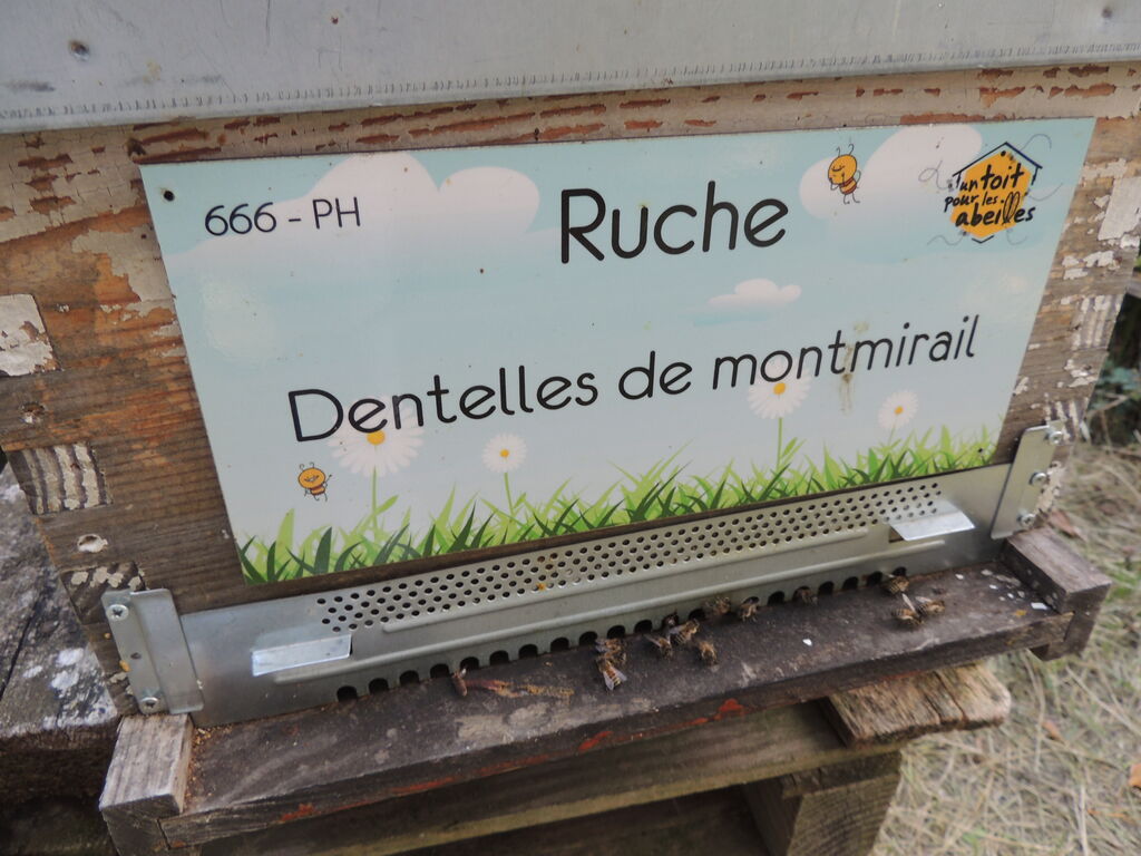 La ruche Dentelles de montmirail