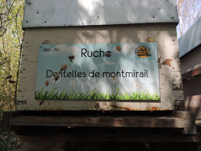 La ruche Dentelles de montmirail