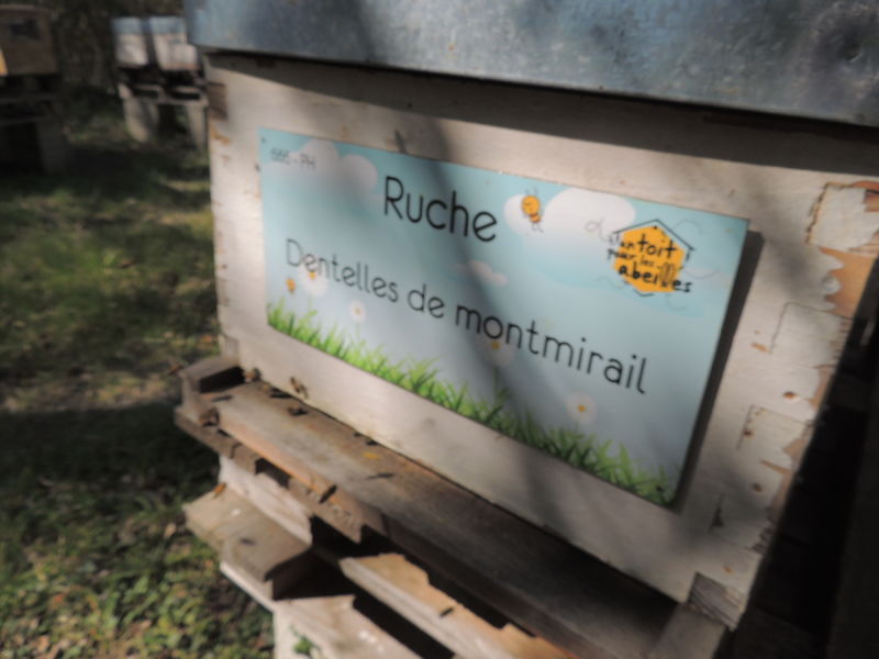 La ruche Dentelles de montmirail