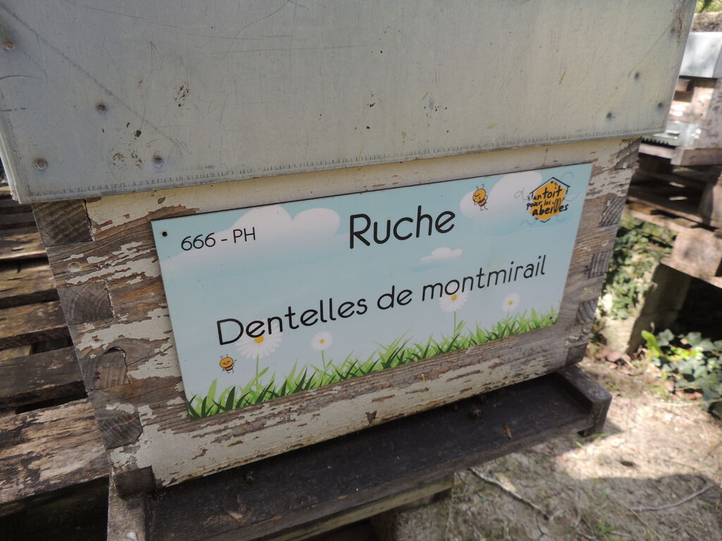 La ruche Dentelles de montmirail
